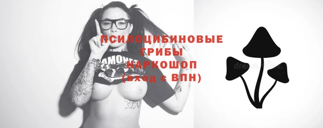 стаф Медвежьегорск