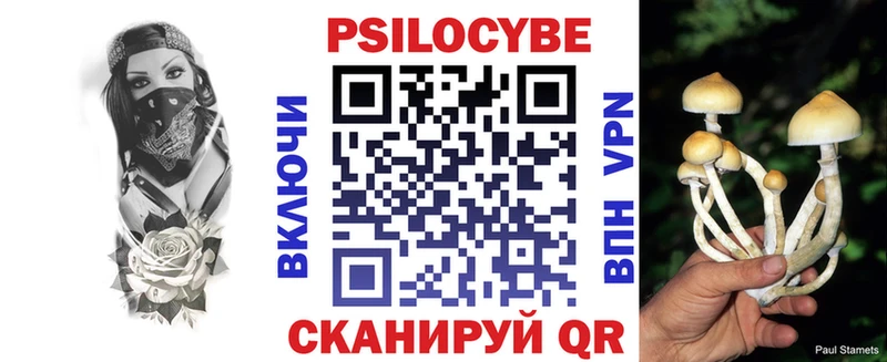 Псилоцибиновые грибы прущие грибы  Купить где  Магнитогорск 